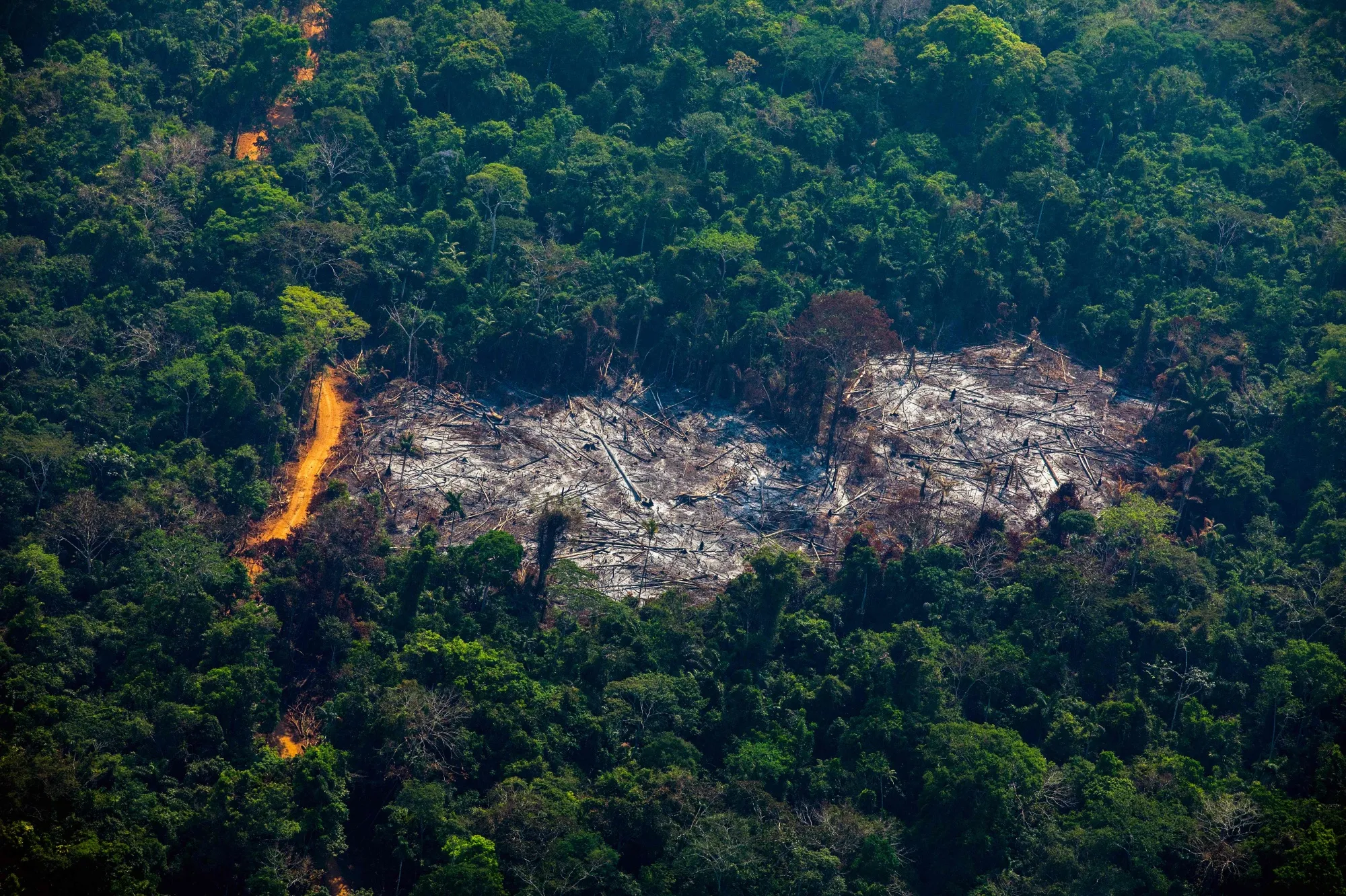 TOPSHOT-BRAZIL-DEFORESTATION-AMAZON