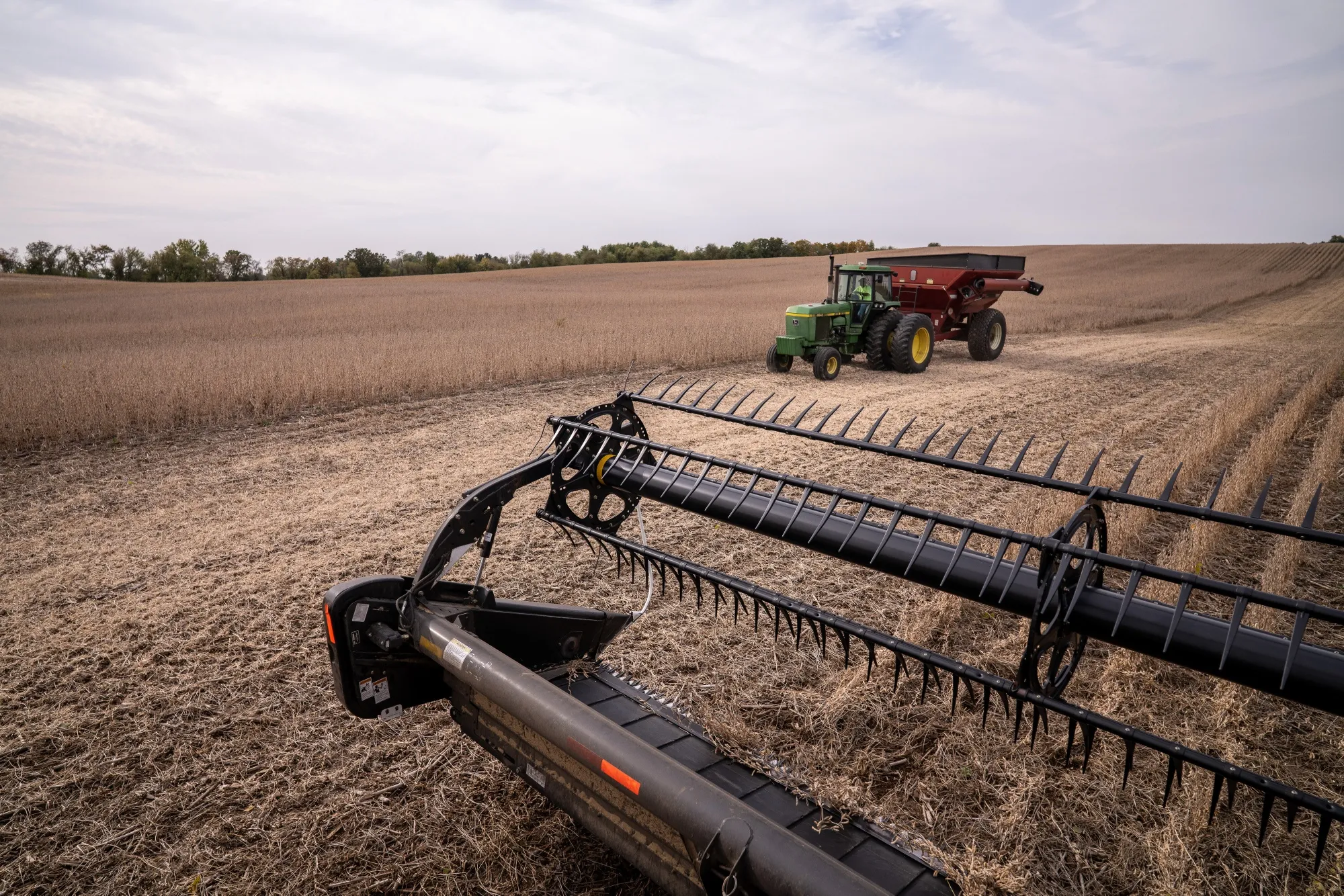 A&nbsp;soybean harvest at a farm in Harvard, Illinois, US.