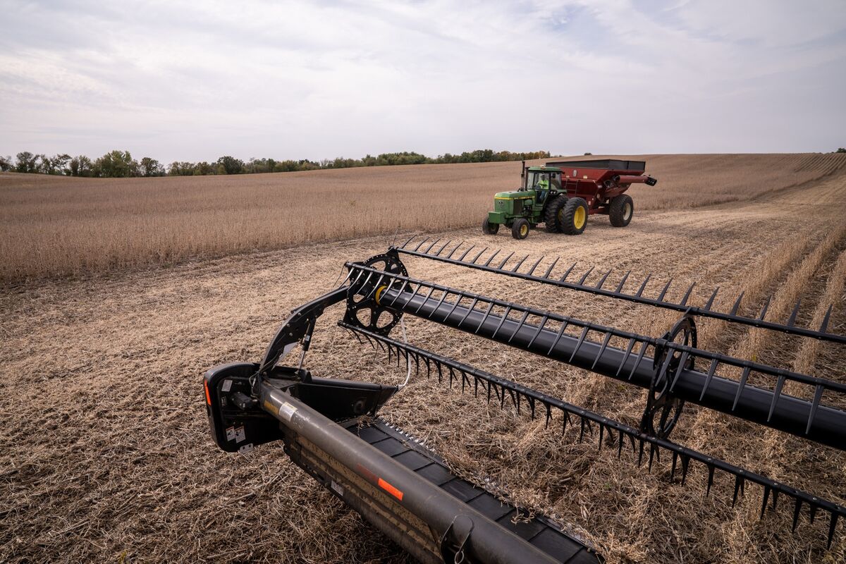China to Make ‘Substantial’ US Soybean Purchases, Bessent Says