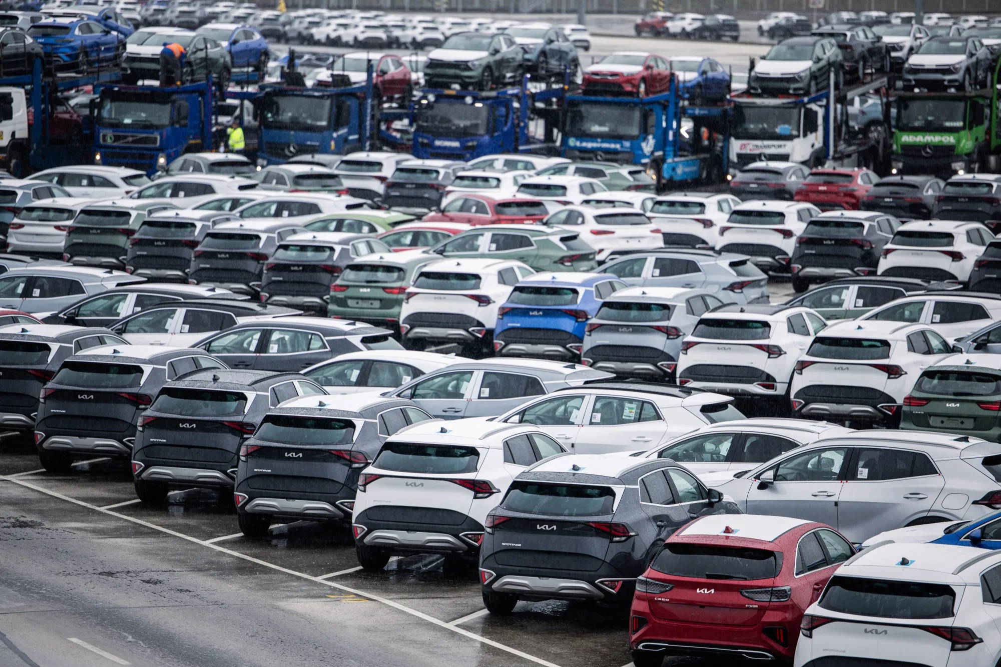 Kia vehicles ready for shipping in&nbsp;Slovakia.