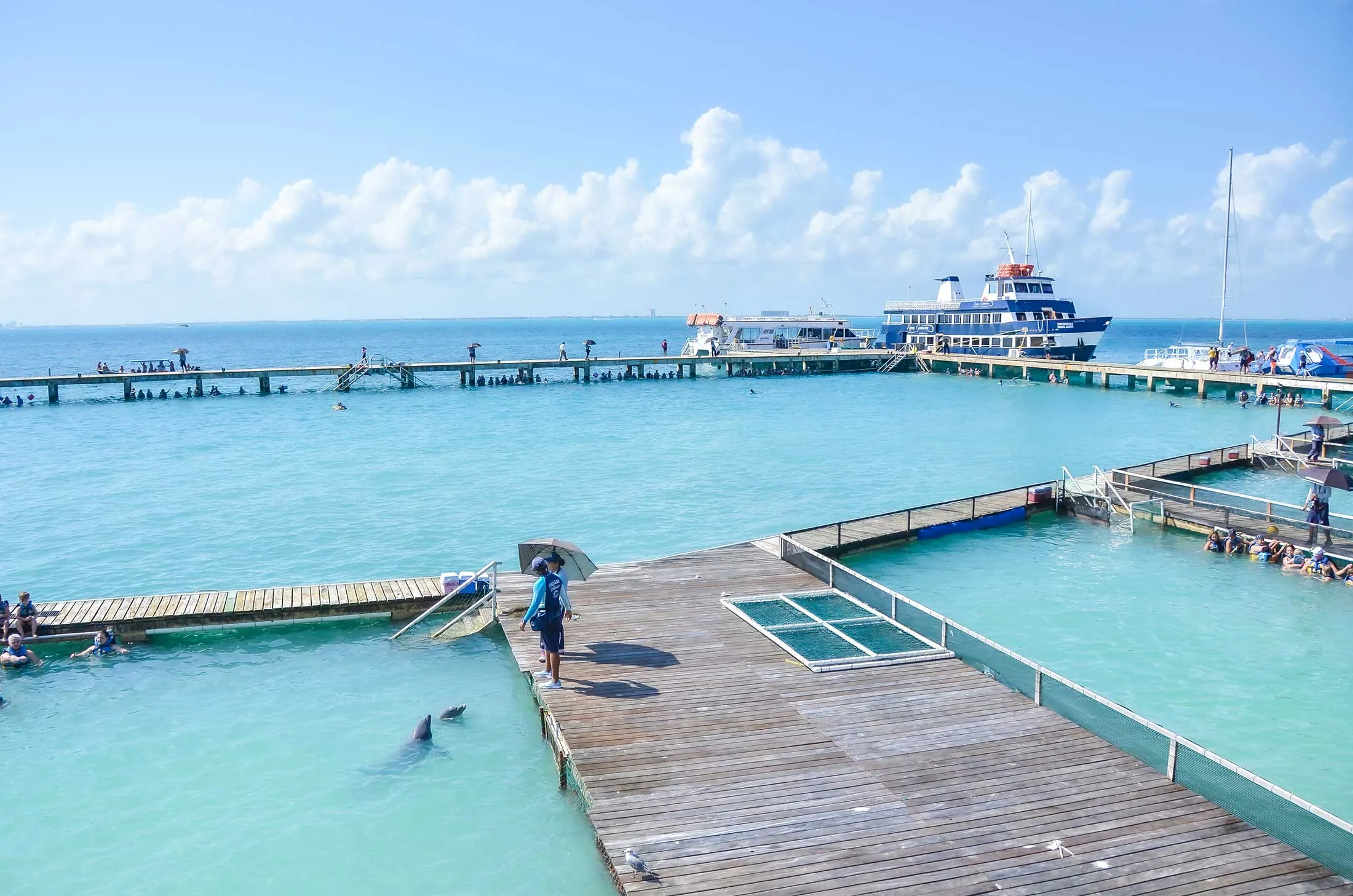 Dolphin Discovery en Isla Mujeres en 2014.