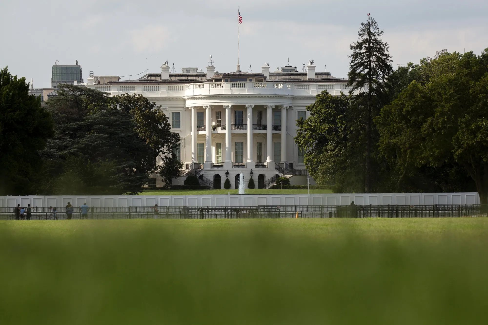 David&nbsp;Warrington is a partner at&nbsp;Dhillon Law Group, where he represented Donald Trump on civil and constitutional cases.