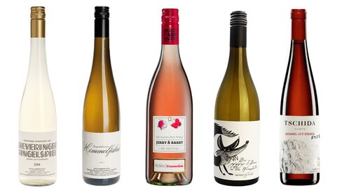 Newcomer Wines is bringing wines from small Austrian growers to an international audience.