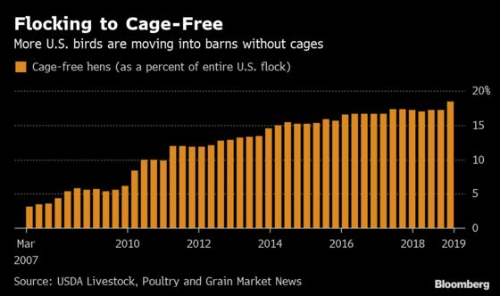 U.S. Egg Market Cracks After McDonald’s Pledges Cage-Free McMuffins