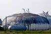 Natural Gas Drops To Five-Month Low After U.S. Stockpile Report