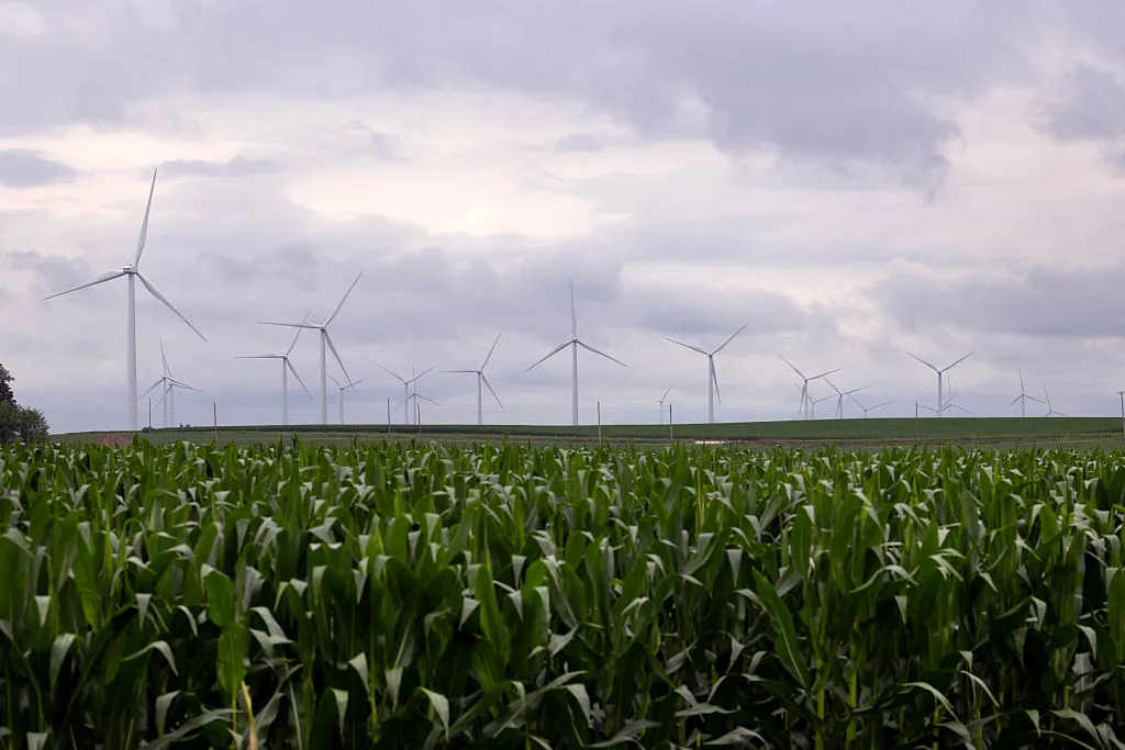 The victims range from deep tech startups to wind and solar power.