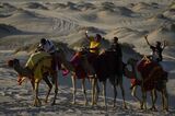 World Cup Frenzy Puts Strain on Qatar's Camels