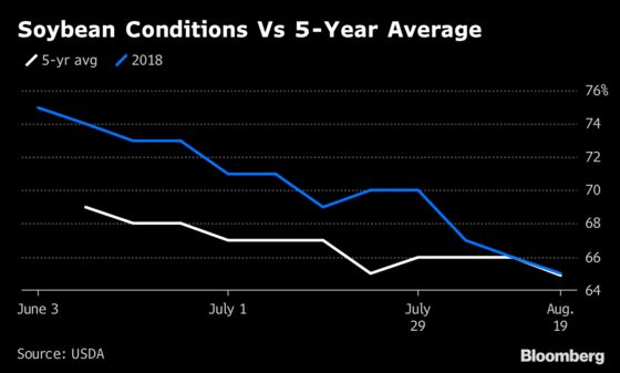 The Current State of U.S. Crops, in Charts