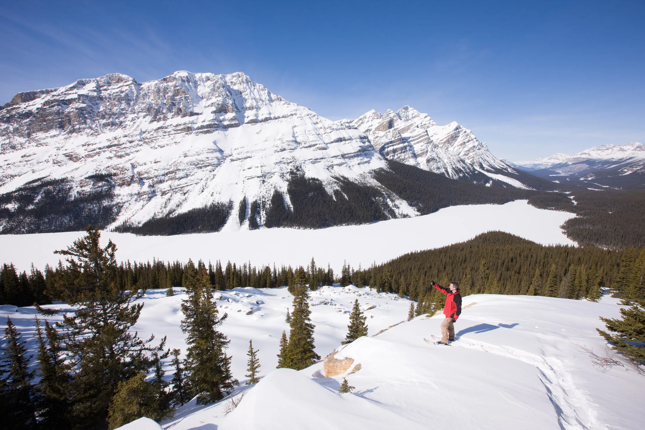 A skier photographs&nbsp;Lake Peyto in Banff National Park in&nbsp;Alberta.