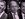 For Hedge Fund Stars, Being Right in 2008 Proved to Be a Curse