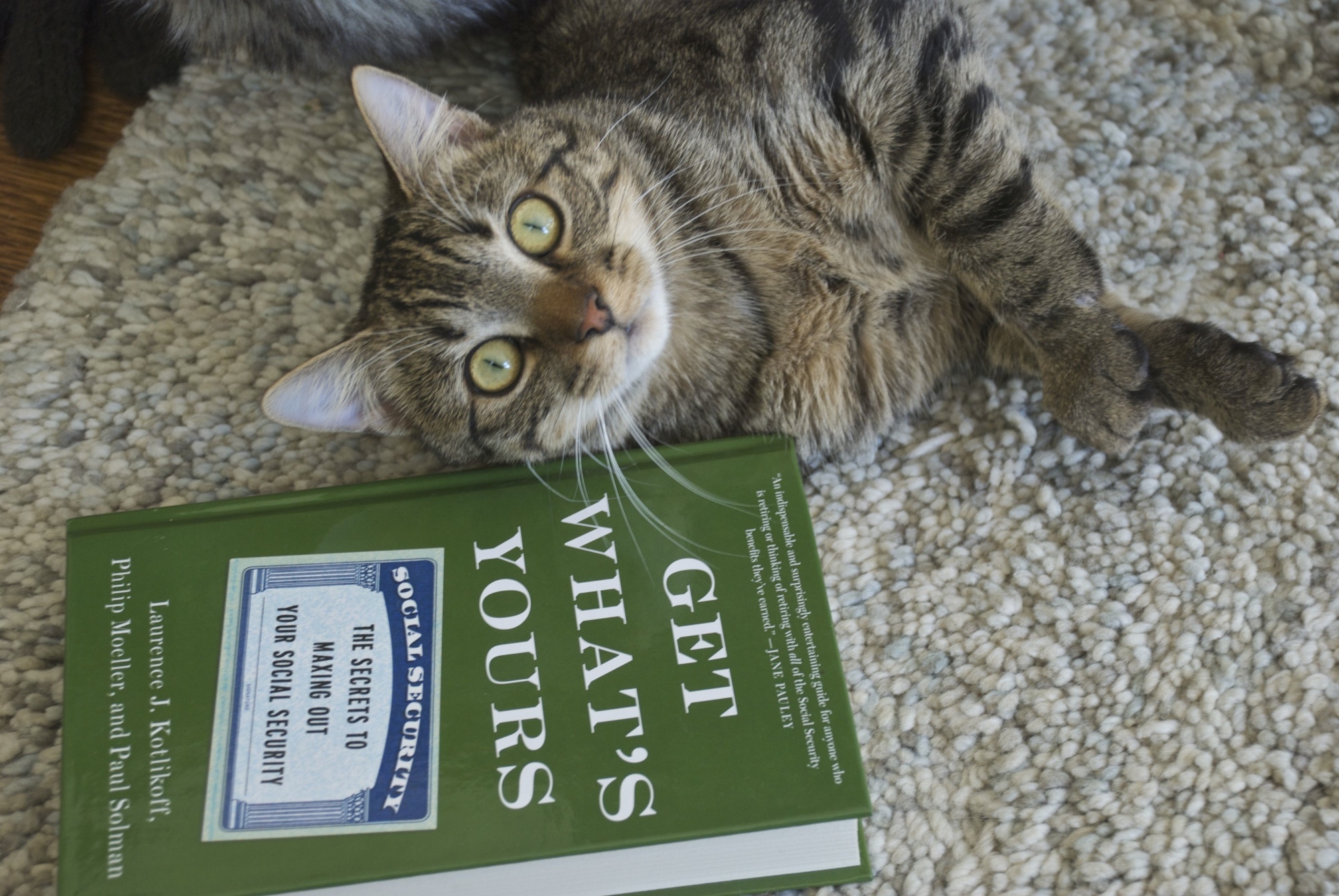 A photograph from professor Larry Kotlikoff’s website.
