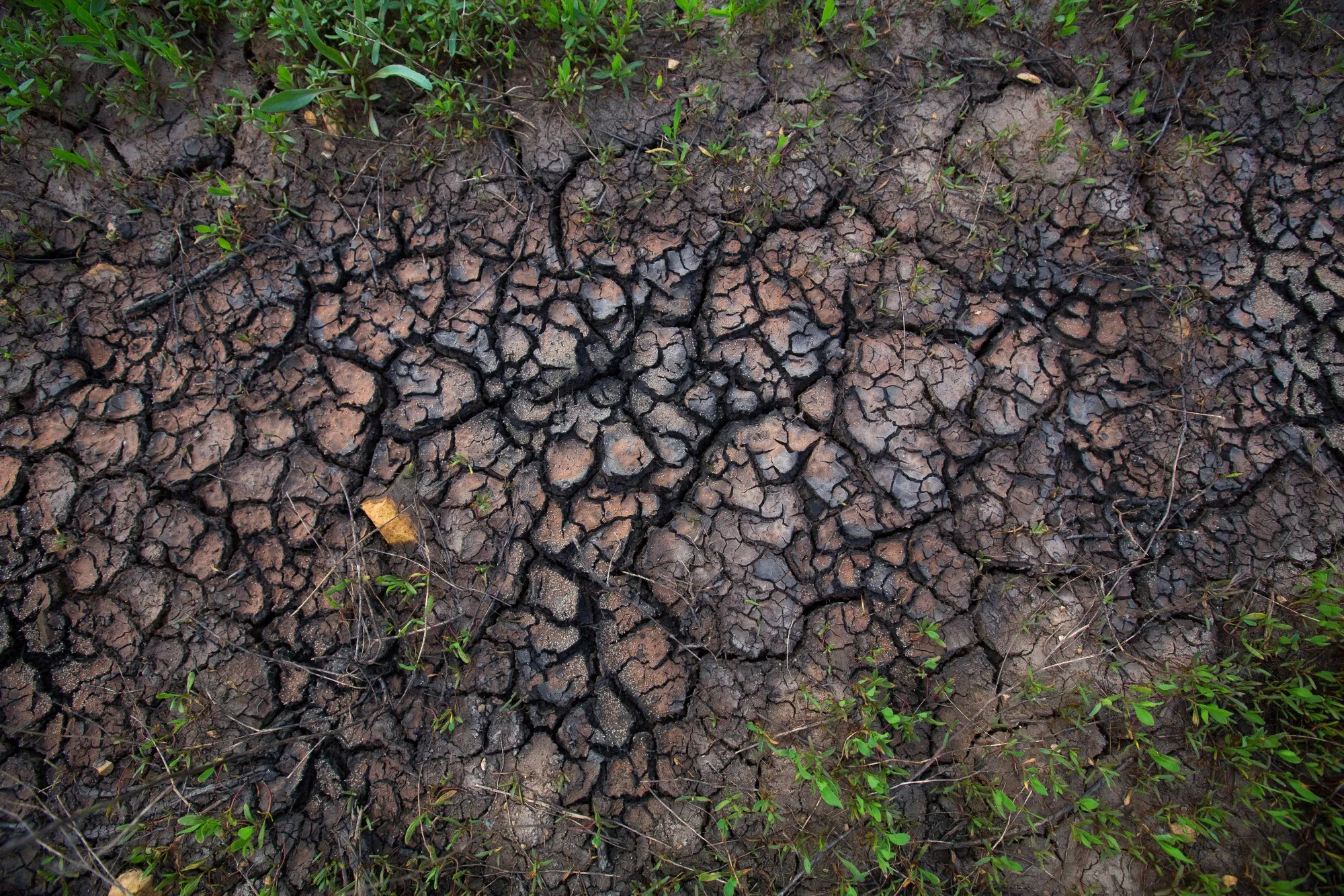Oil residue contaminates cracked earth in an oil field near Samara, Russia, on Tuesday, May 14, 2019. The nearby village of Nikolayevka in central Russia has emerged as the epicenter of an international oil scandal with authorities saying corrosive chlorides entered Russia’s 40,000-mile network of oil pipelines, causing the first-ever shutdown of the main export artery to Europe.