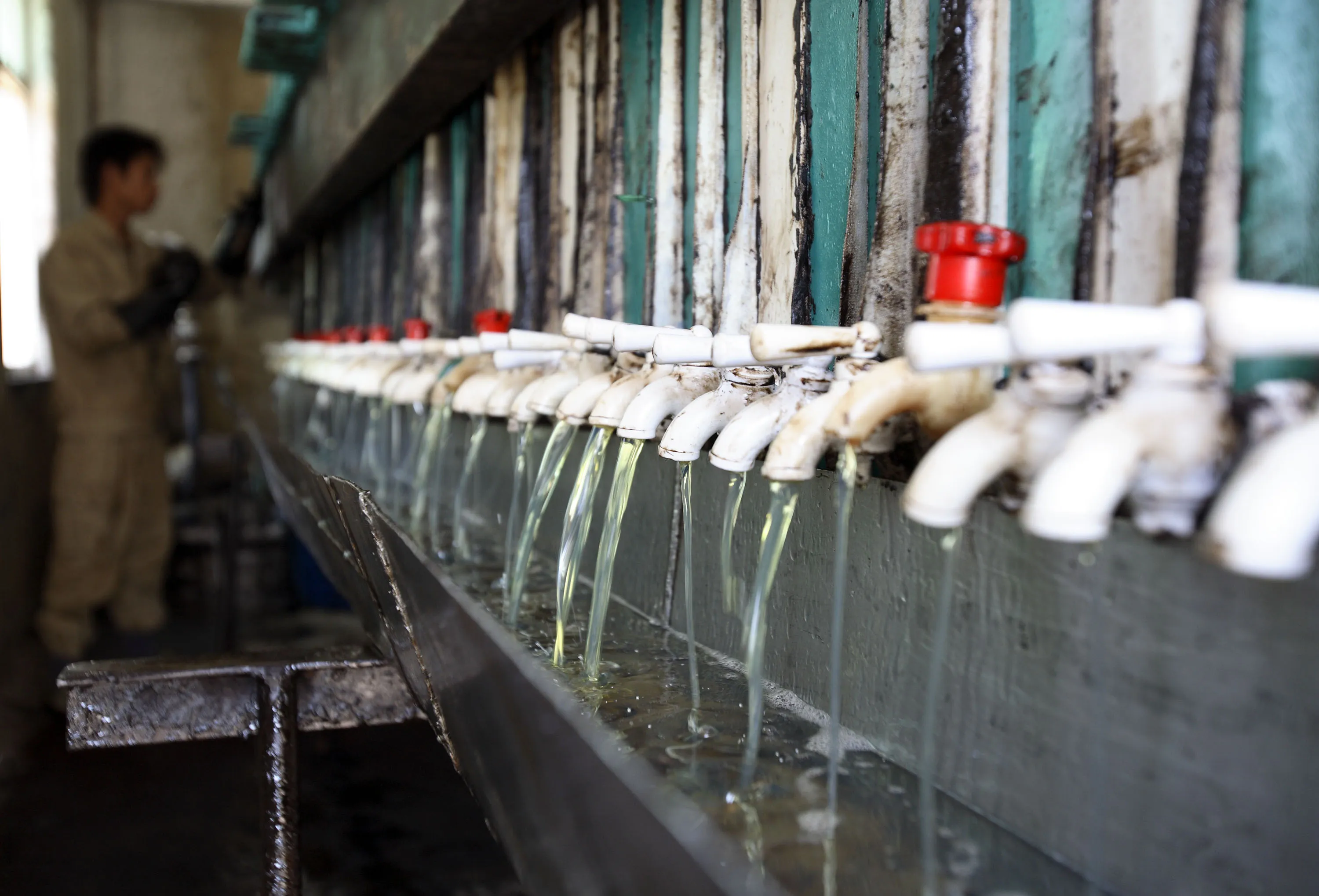 Recycled cooking oil&nbsp;in Fuqing, China.