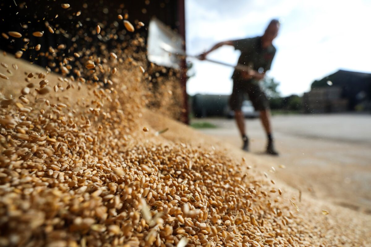 Farm Aid Falls Short of Trade-War Pain, Land O'Lakes CEO Says - Bloomberg