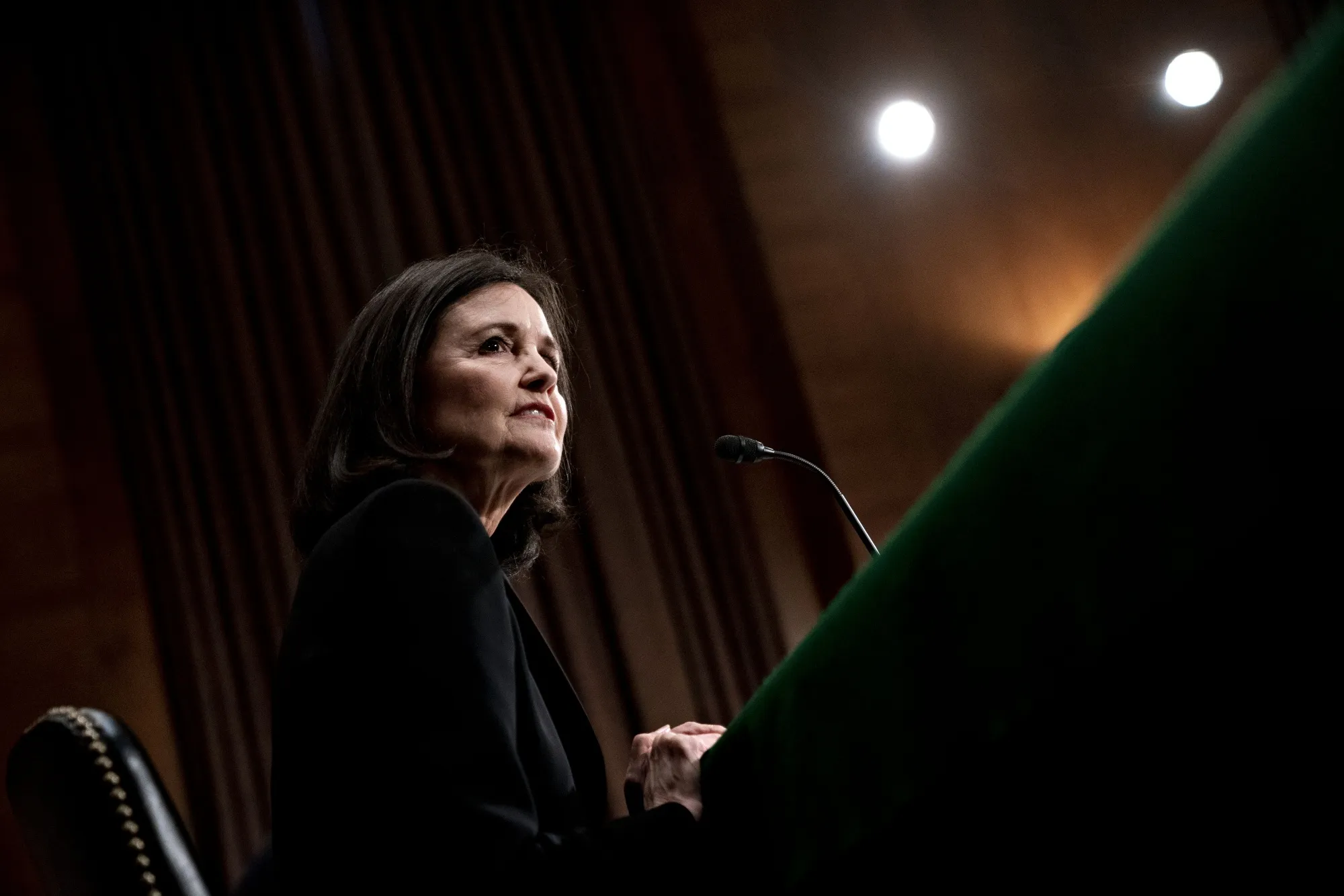 Judy Shelton.
