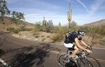 A cyclist rides in South Mountain Park and Preserve in Phoenix. According to a new study, Phoenix has a narrow spread of green space compared to other U.S. cities.