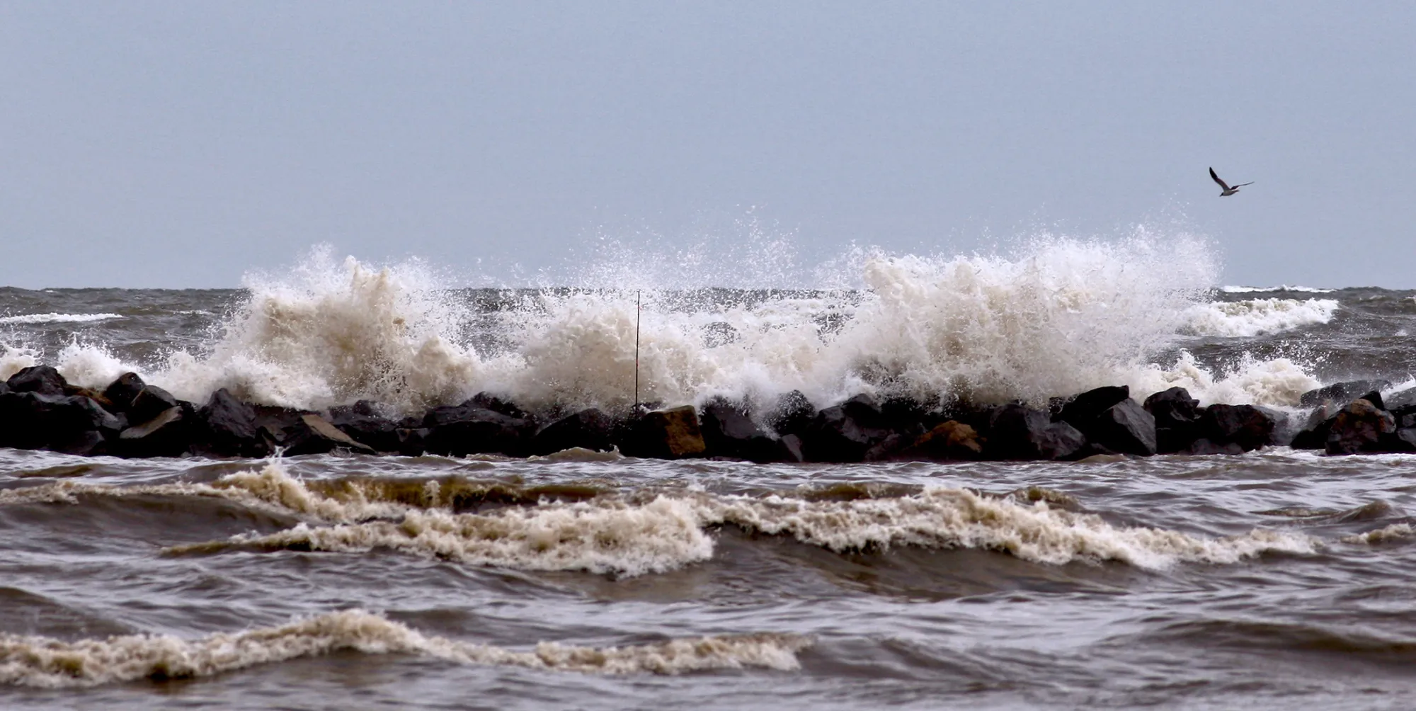 waves
