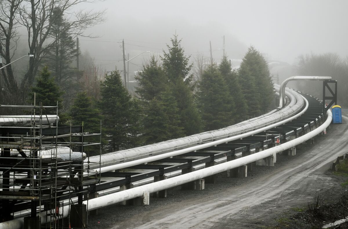Trump OKs US Oil Pipe, Undercutting Canadian Plan Backed by Carney