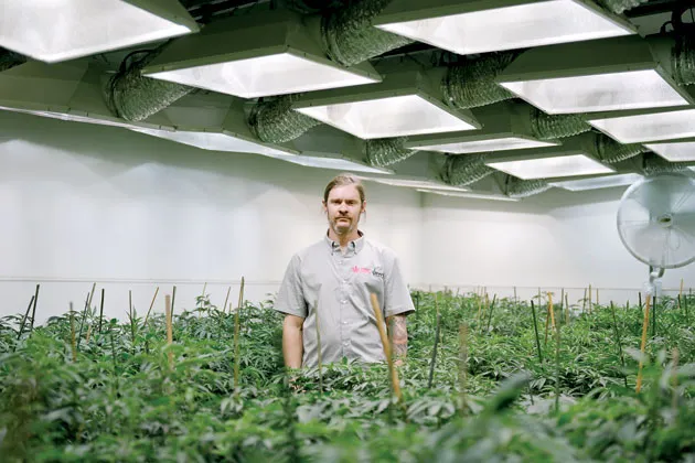 Field of Dreams: Elliott Klug in his Denver dispensary