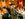 0326_PURSUITS_MURDER MYSTERY_lede