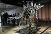 TOPSHOT-US-DINOSAUR