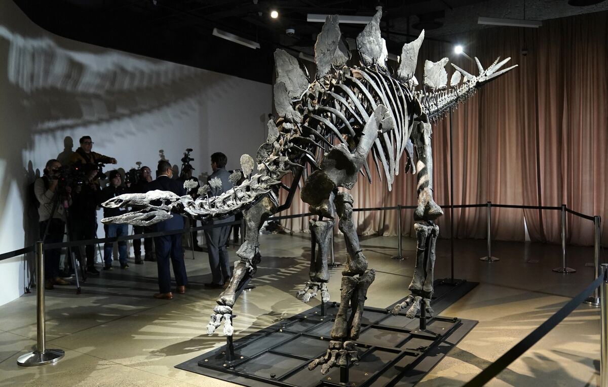 bloomberg.com - Tracy Alloway - Inside the Booming Market for Dinosaur Fossils
