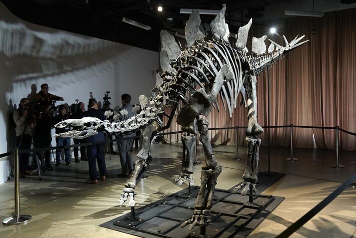 TOPSHOT-US-DINOSAUR