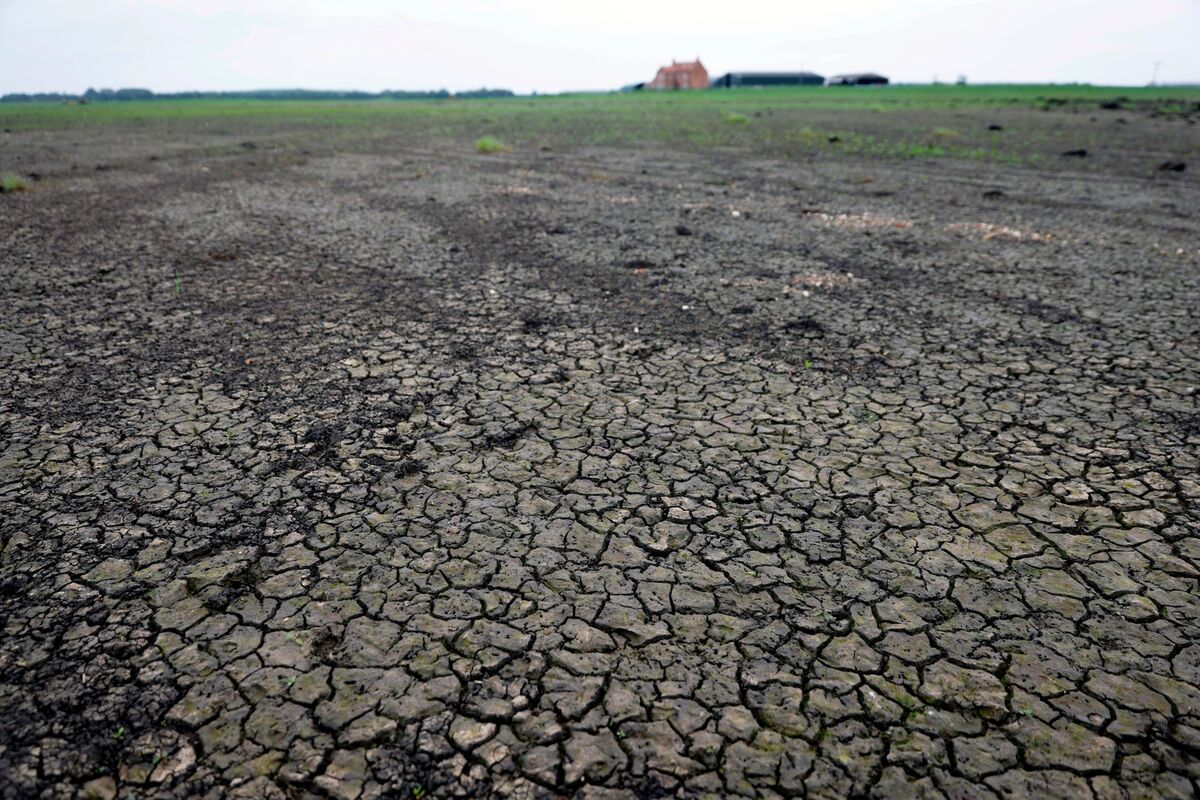 Extreme Weather Around the World Risks Boosting Food Bills