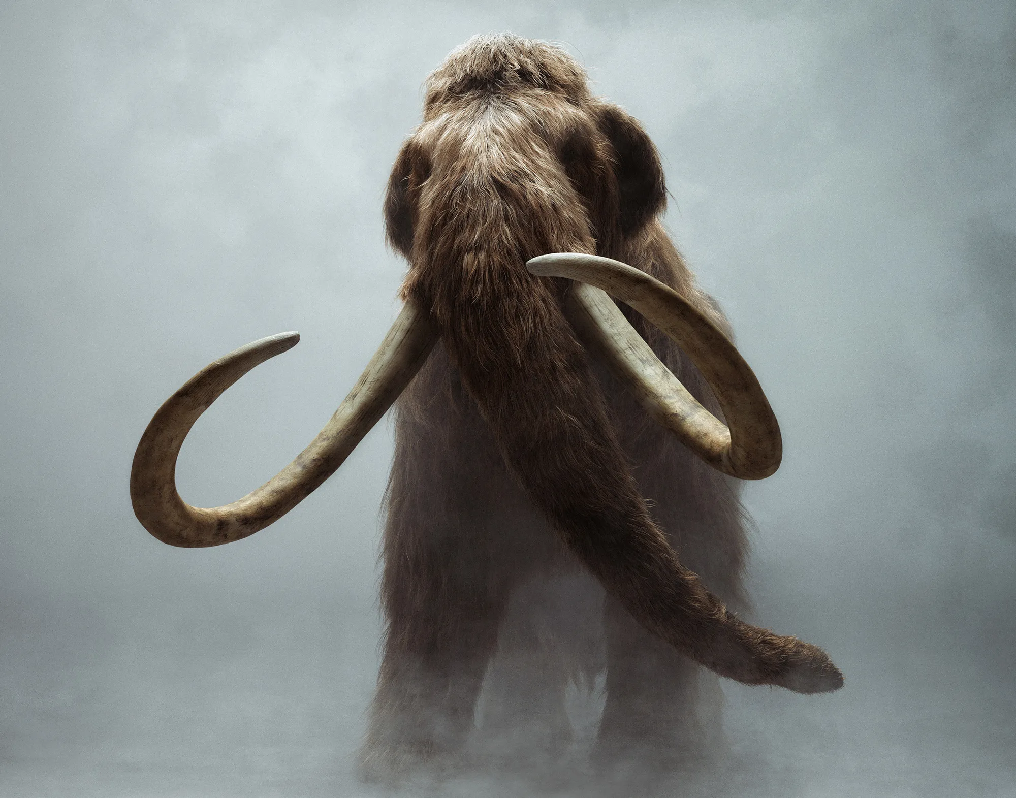 Colossal Biosciences says its effort to resurrect the woolly mammoth will&nbsp;lead to advances in human health care.