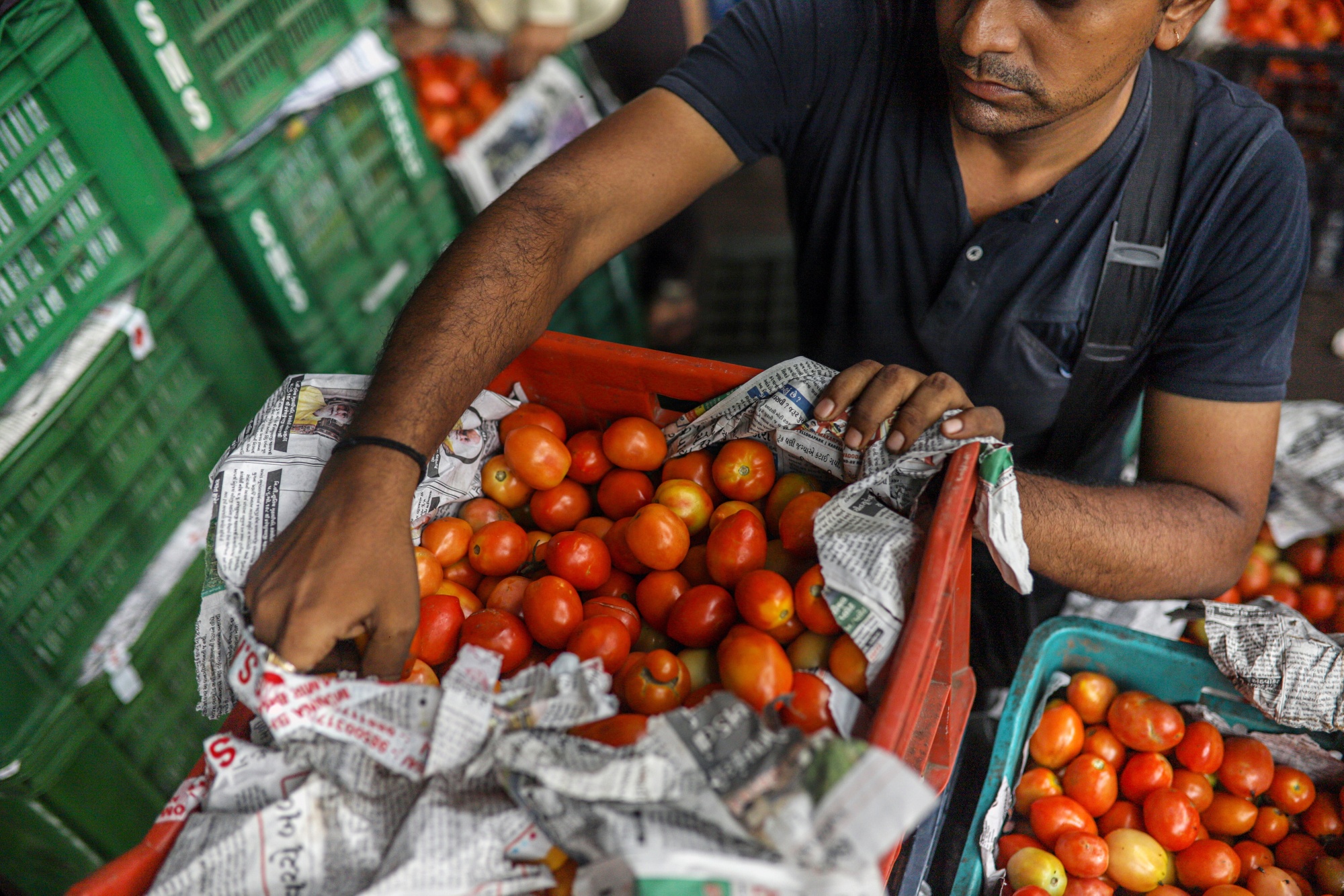India Needs Major Reforms in Food Supply Management, Says RBI - Bloomberg