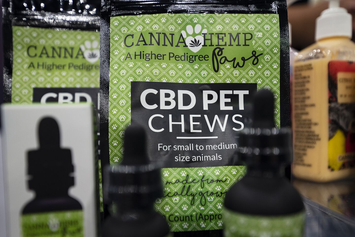 Cannabis World Congress In Los Angeles