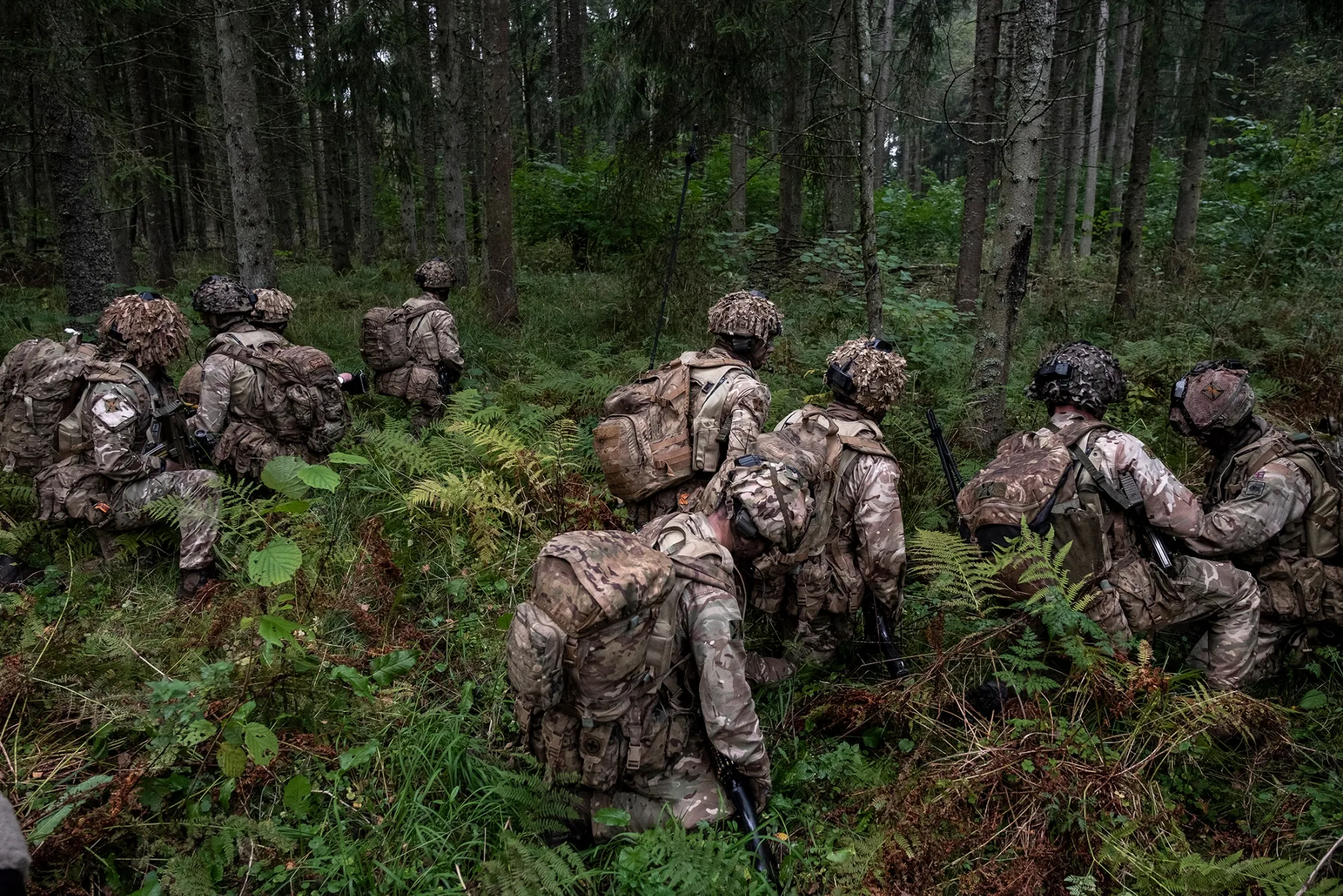 NATO troops carry out a rapid ambush&nbsp;during the Exercise Forest Guardian in rural Latvia on Oct. 4.