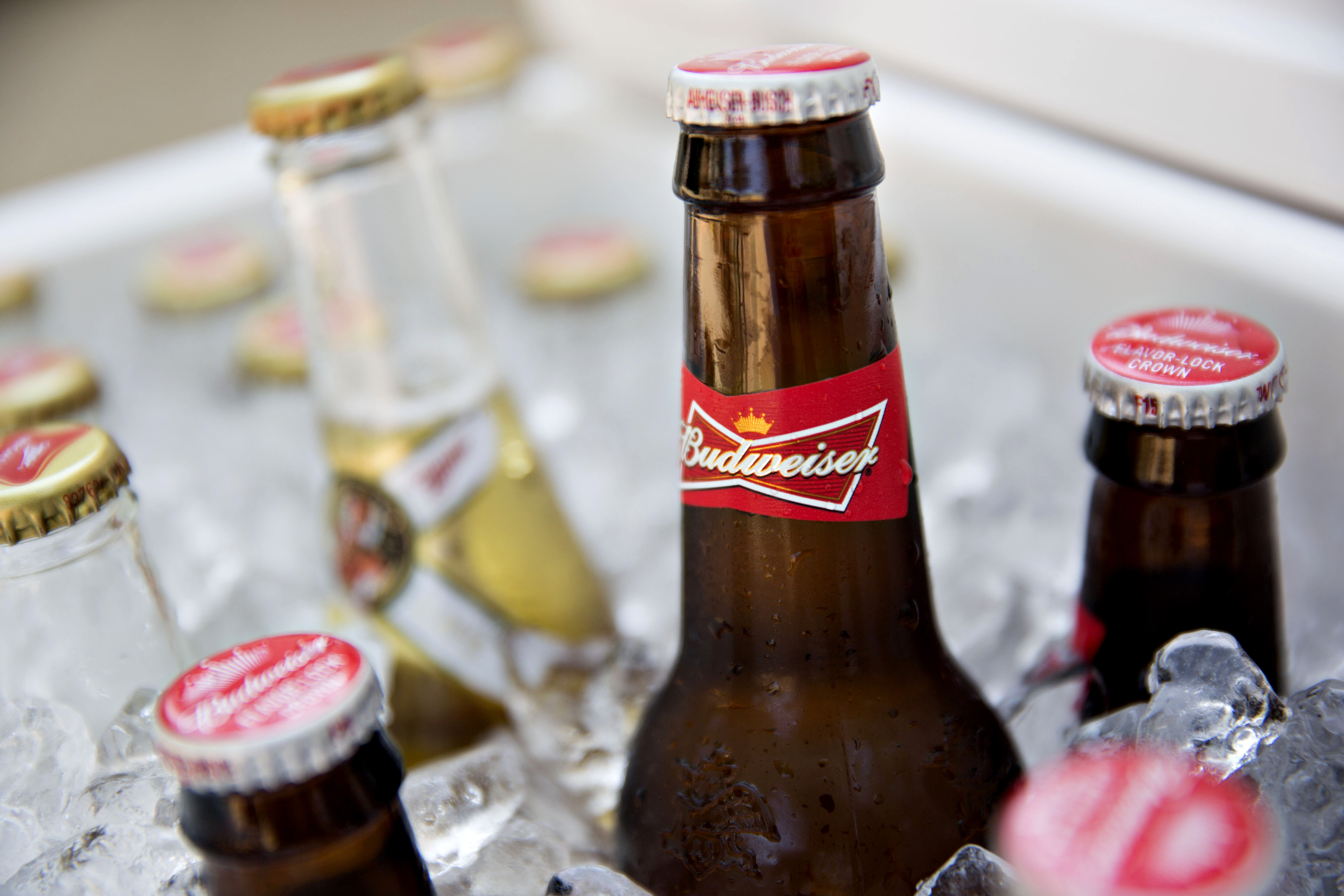 Bud Light and Budweiser's reputation under fire—are other AB-InBev brands  weathering the storm?