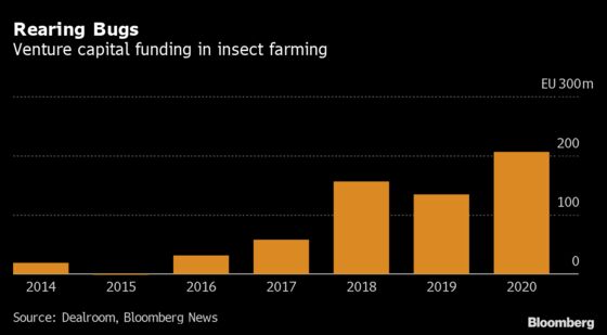 Insect Farm Lures Robert Downey Jr. in $224 Million Fundraising