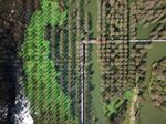 China will use natural carbon sinks such as vegetation, soil and oceans.
