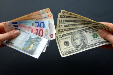 A woman holds several Euro and US dollar