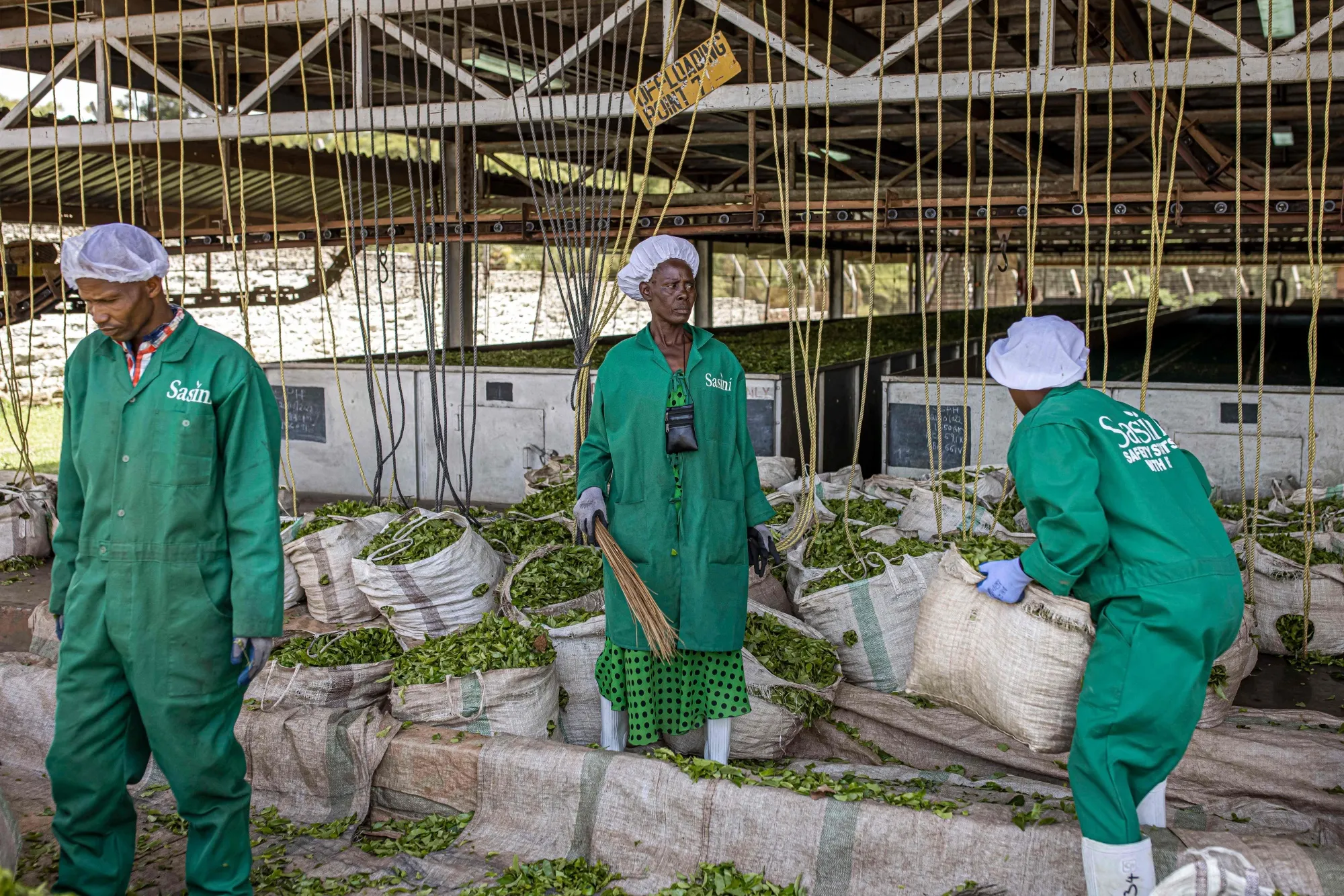 Githongo Tea Factory Kenya Bets on World Biggest Tea Buyer to Boost Growers’ Incomes - Bloomberg