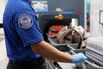 A TSA agent