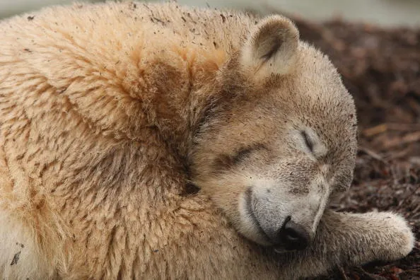 He can sleep a little longer.
