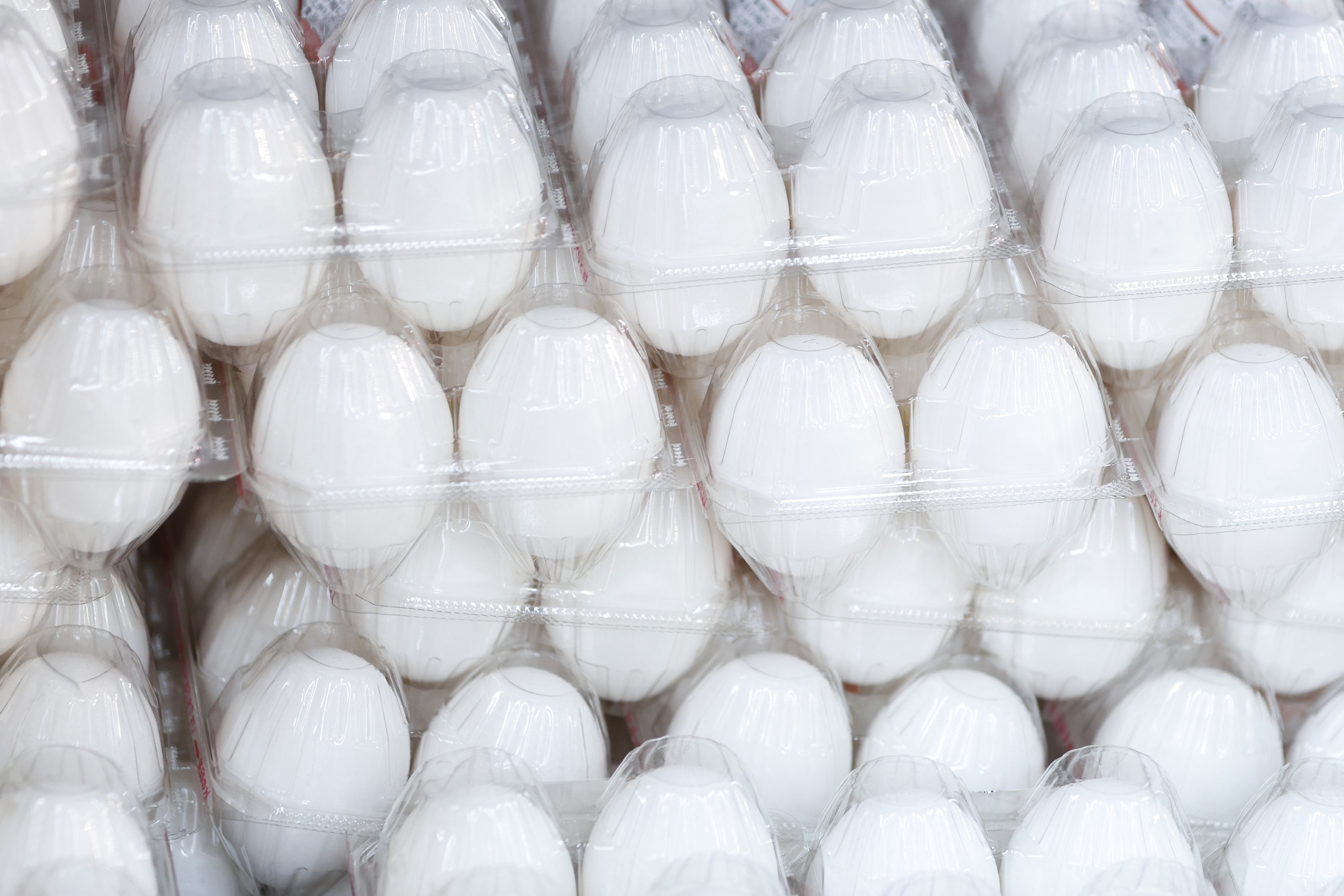 Japanese Scientists’ Potentially Eggcellent New Breakthrough Bloomberg