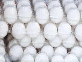 relates to Japanese Scientists’ Potentially Egg-cellent New Breakthrough