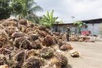 A worker sweeps the floor near a pile of oil palm fruit at a collection facility in Tanjong Karang, Selangor, Malaysia.
