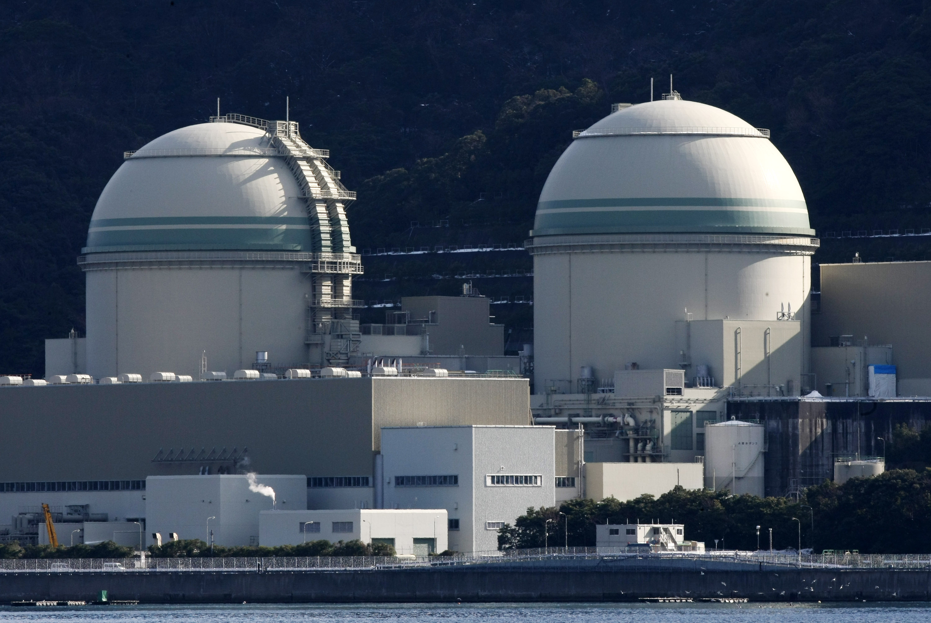 関電の高浜原発４号機原子炉が自動停止、冷却は正常－今後原因調査へ