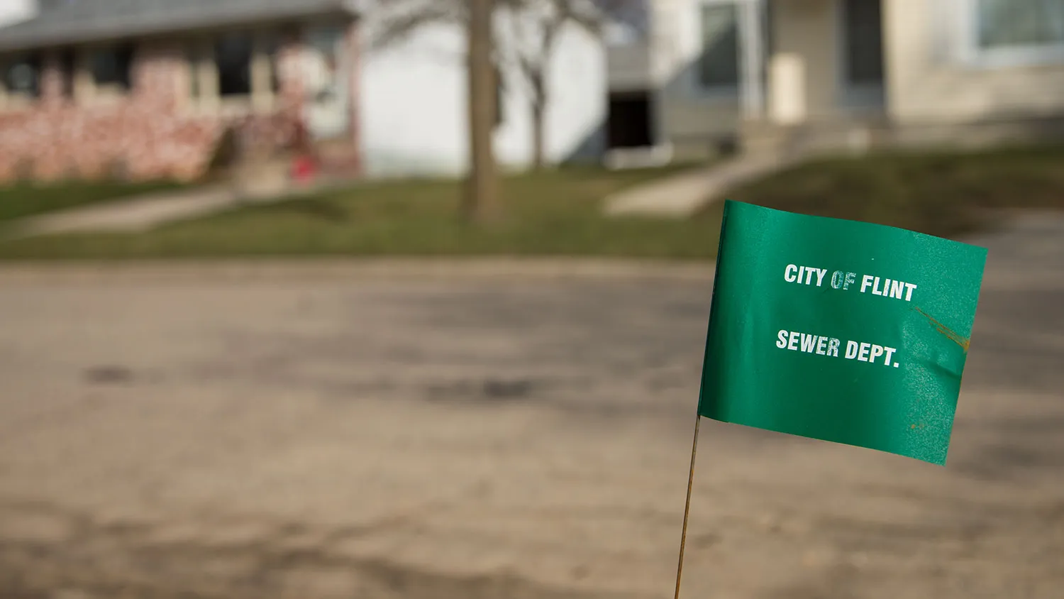 A City of Flint Sewer Department marker flag waves in the wind on a block where lead water lines have started to be replaced on March 17, 2016, in Flint, Michigan.
