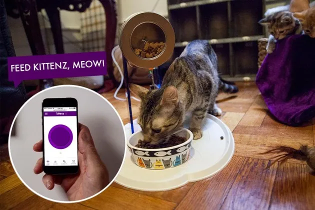 DIY Smart Home: LittleBits' New Kit Connects Old Appliances to the Internet