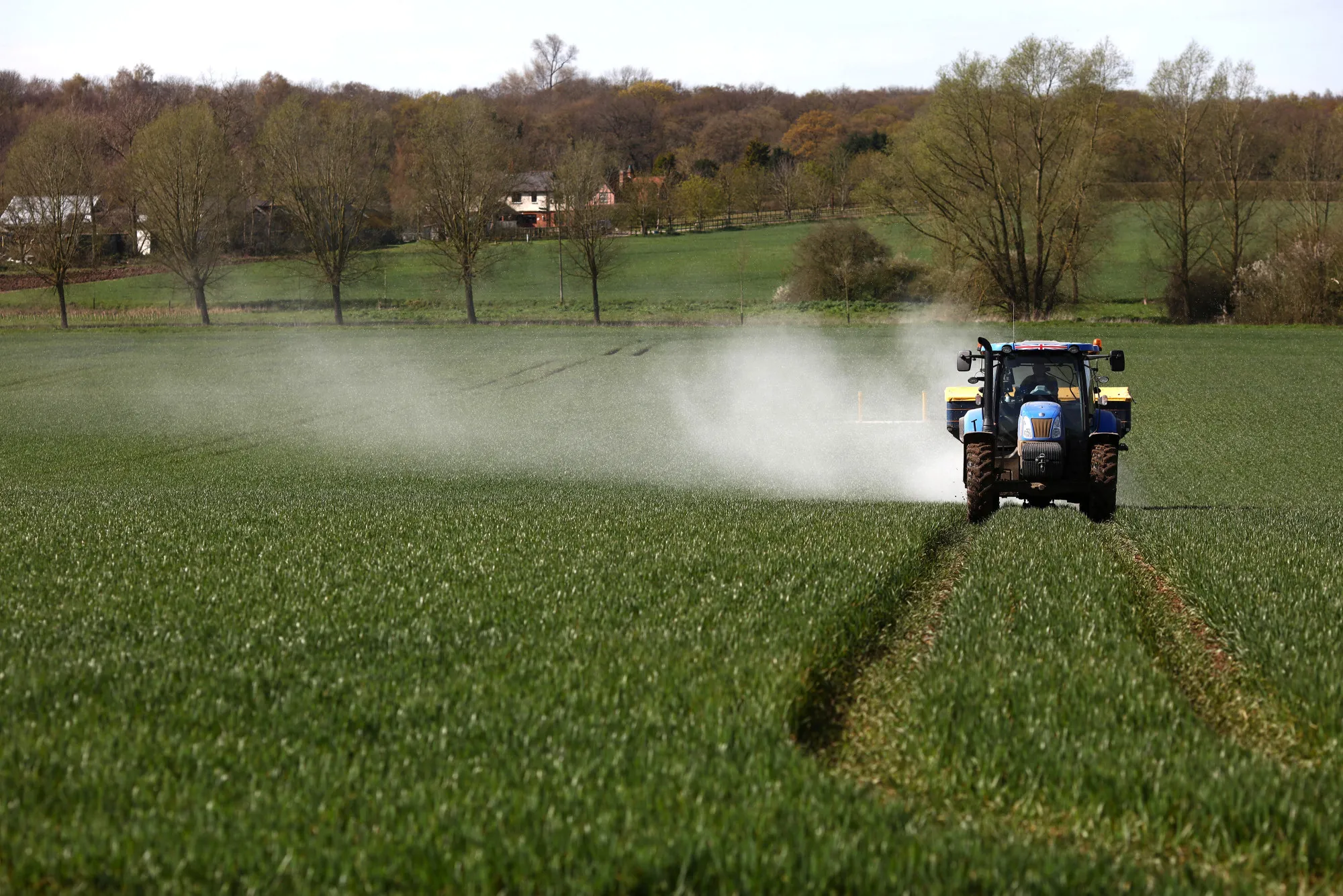 A tractor spreads fertilizer in Hatfield Peverel, U.K.