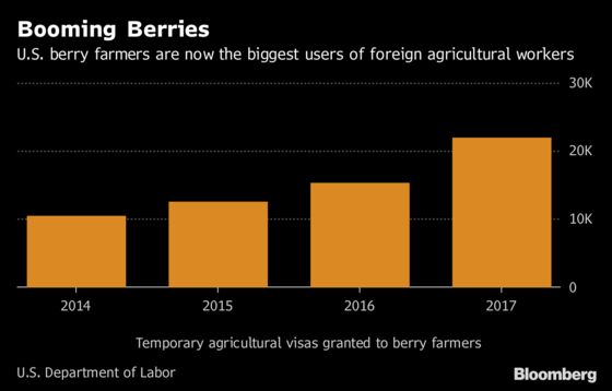 Legal Immigration Soaring as Mexican-Border Showdown Heats Up