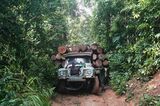 DOUNIAMAG-NIGERIA-FORESTRY-CONSERVATION-ELEPHANT