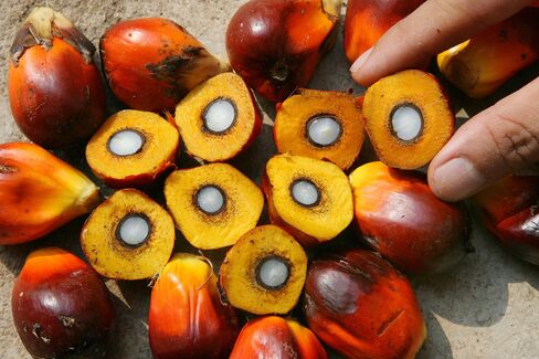 Bio Tech-Palm Oil Msia