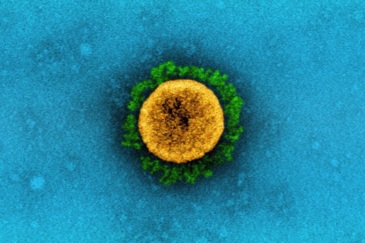 It's Taken 100 Scientists Two Years to Rename Airborne Viruses After Covid Mistakes